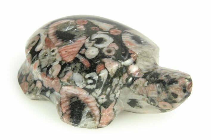 Carved Crinoid Stems in Marble Turtle #308316